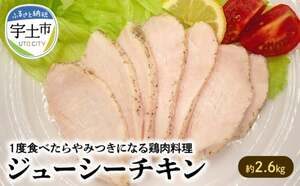 宇土市おすすめふるさと納税返礼品 チキン